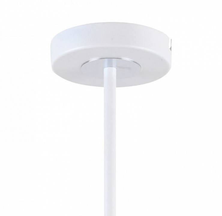 Люстра на штанге F-promo Viator 2559-5P