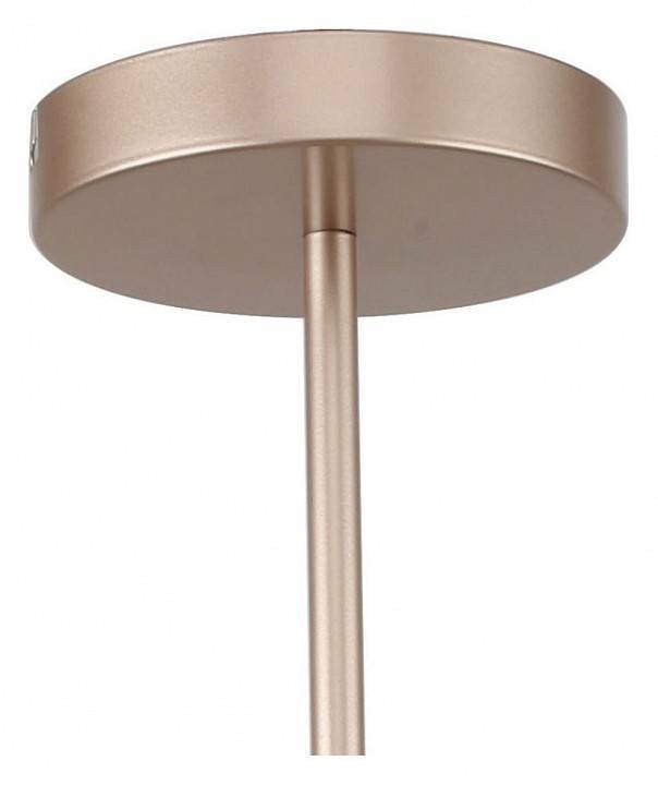 Люстра на штанге F-promo Calor 2774-5P