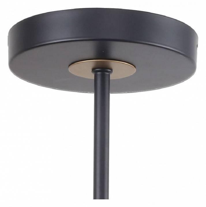 Люстра на штанге F-promo Rigor 2844-8P