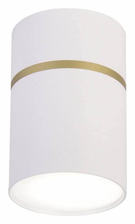 Накладной светильник Favourite Dunia 3067-1C