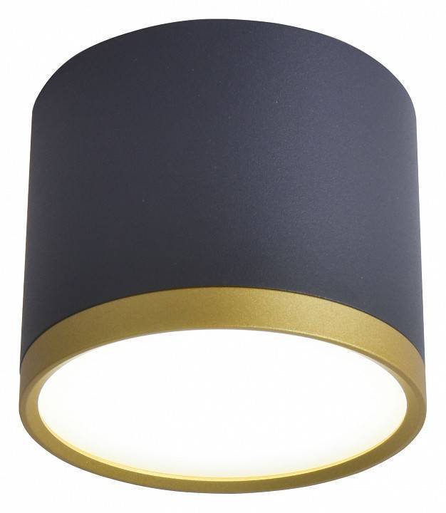 Накладной светильник Favourite Baral 3081-2C