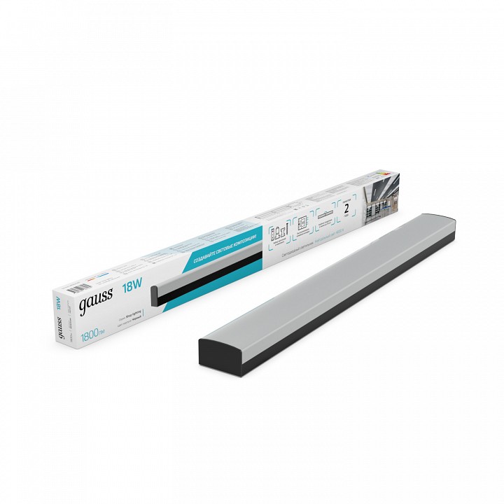 Накладной светильник Gauss  883625280