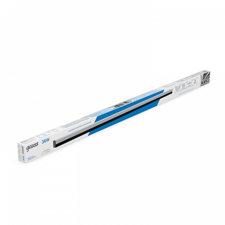 Накладной светильник Gauss  883625336