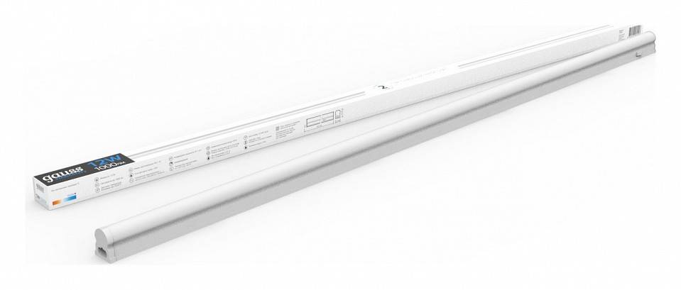 Светильник светодиодный накладной Gauss TL Elementary 10 Вт TL006