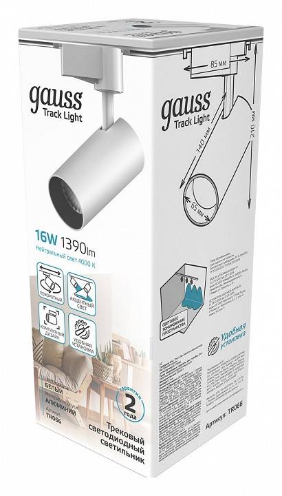 Светильник на штанге Gauss TR TR066