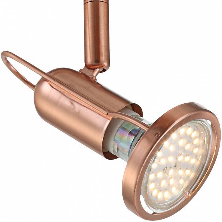 Спот Globo Anne 3xE14 54383-3