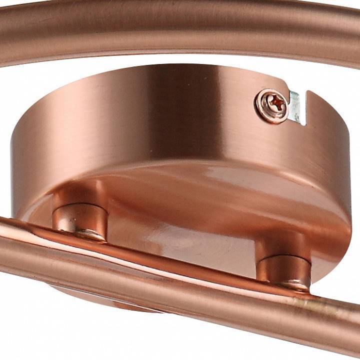 Спот Globo Anne 3xE14 54383-3