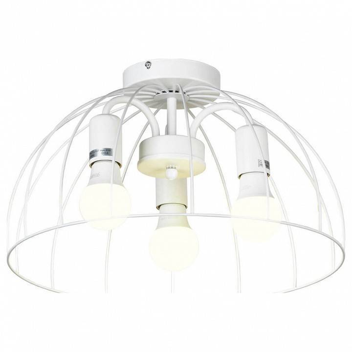 Потолочная люстра Lussole Lattice 1 GRLSP-8218