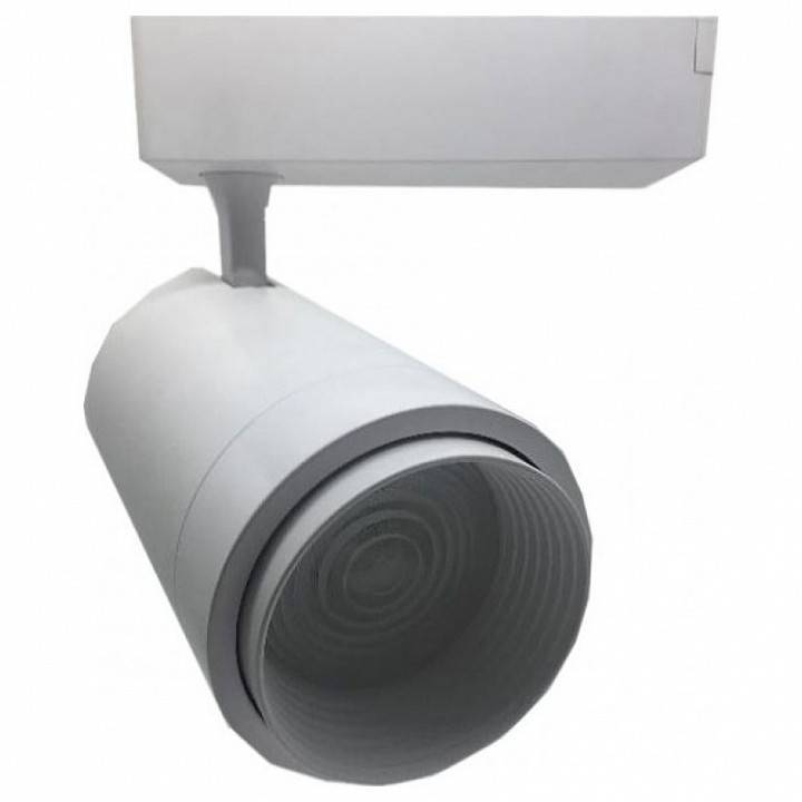 Светильник на штанге Imex IL.0010.0071