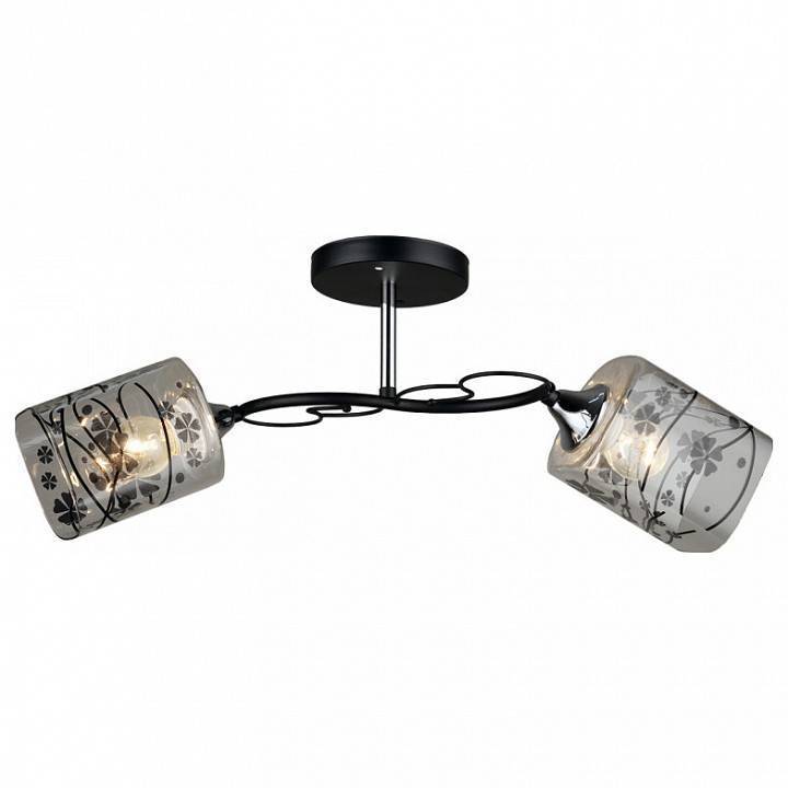 Светильник на штанге Imex MD.QH-0065 2 лампы черный MD.QH-0065-2 BK