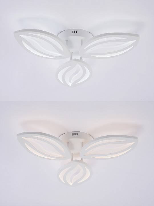 Потолочная люстра Natali Kovaltseva SM LED LAMPS 81456