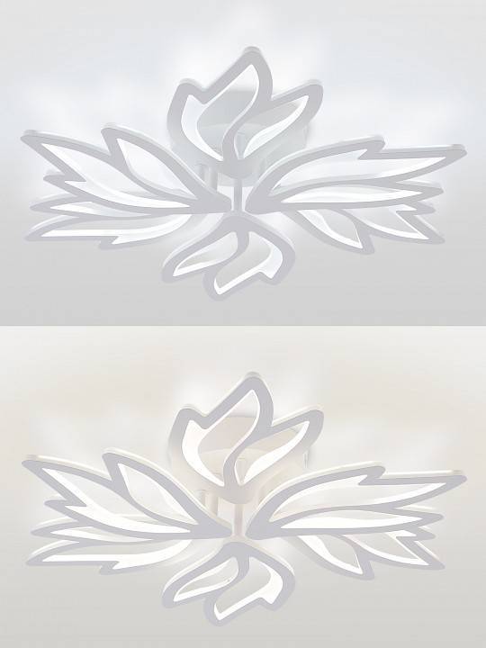 Потолочная люстра Natali Kovaltseva RIF LED LAMPS 81118/5C