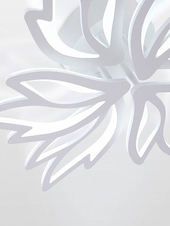 Потолочная люстра Natali Kovaltseva RIF LED LAMPS 81118/5C