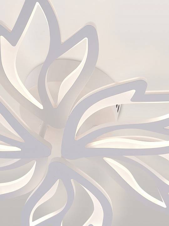 Потолочная люстра Natali Kovaltseva RIF LED LAMPS 81118/5C