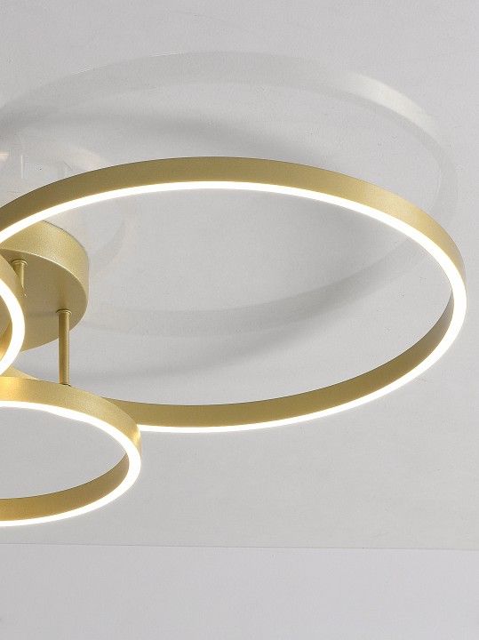 Потолочная люстра Natali Kovaltseva  LED LAMPS 81480