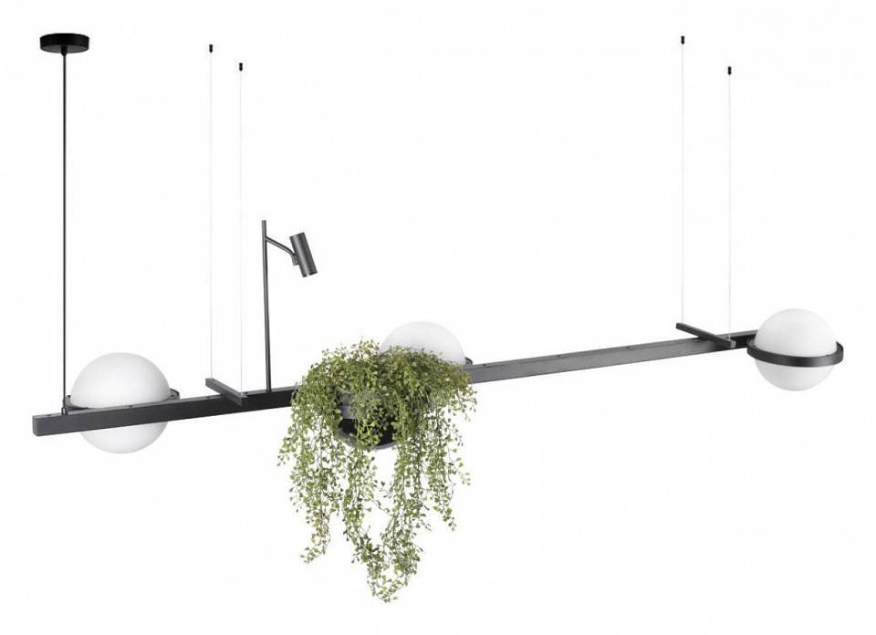 Подвесной светильник Loft it Jardin 10121/C