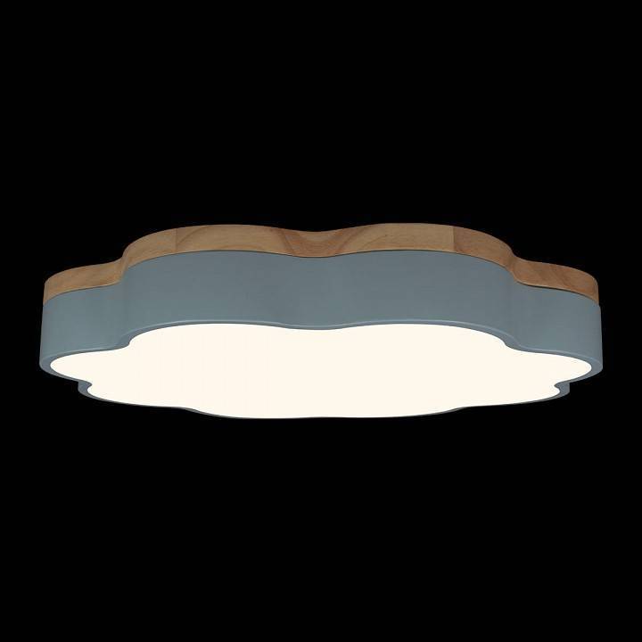 Накладной светильник Loft it Axel 10225/36 Blue