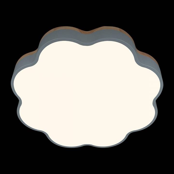 Накладной светильник Loft it Axel 10225/36 Blue