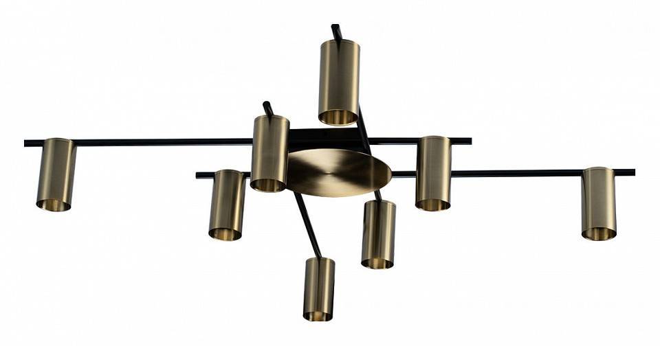 Потолочная люстра Loft It Tribes 8120C-8