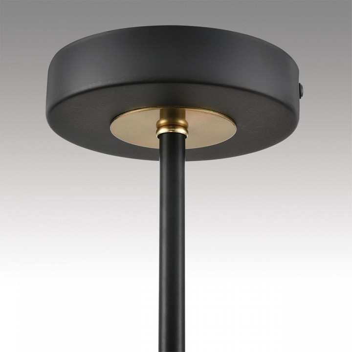 Люстра на штанге Lumion Comfi 8153/6C