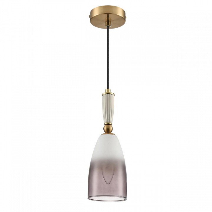 Подвесной светильник Lumion DERBI 8285/1A