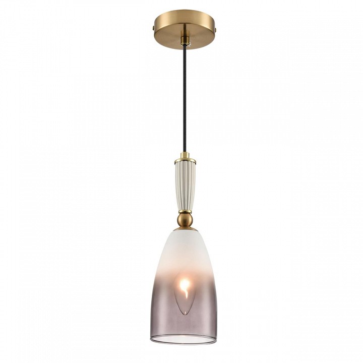 Подвесной светильник Lumion DERBI 8285/1A