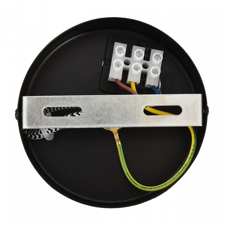 Подвесной светильник Lumion ECO 8364/1A