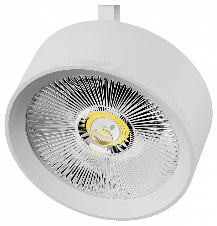 Плафон металлический Lightstar Alta Pro 215746