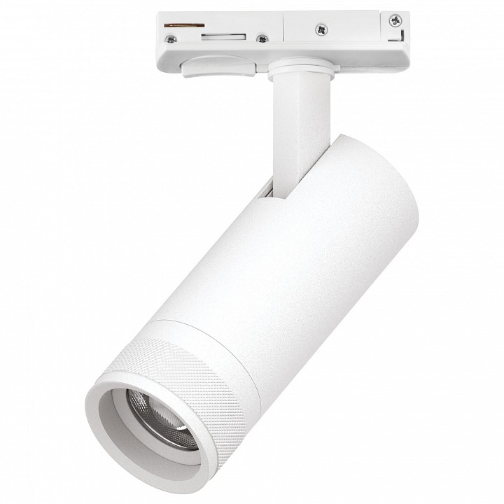 Светильник на штанге Lightstar Canno Pro C4126SS