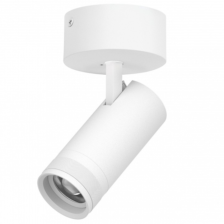 Спот Lightstar Canno Pro C4206SO