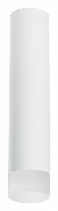 Накладной светильник Lightstar Rullo R49631