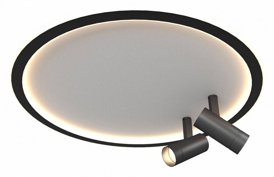 Накладной светильник Milosh Tendence черный 0822CL-74BK