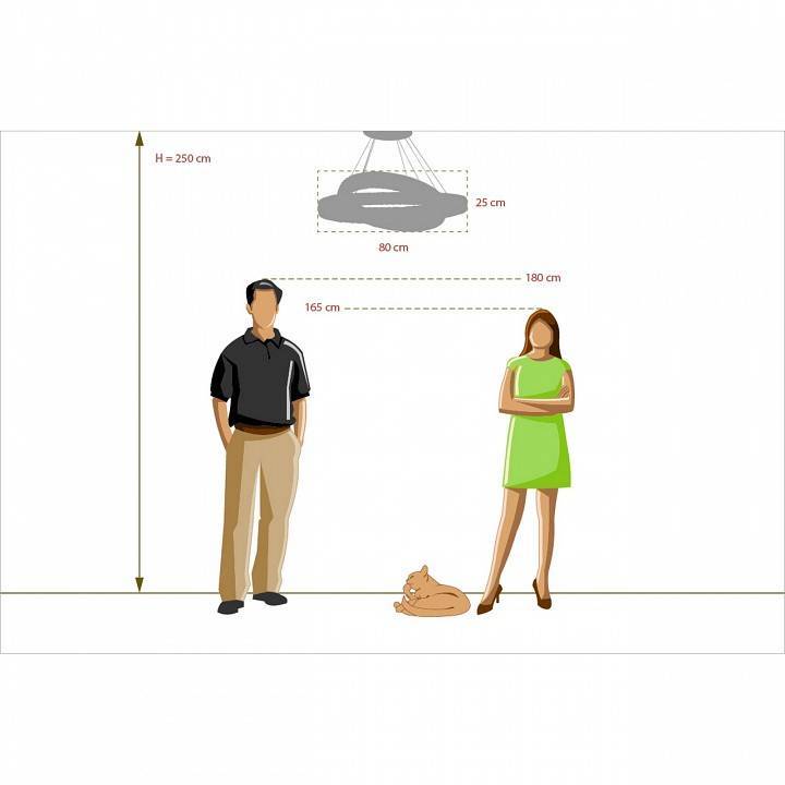 Подвесной светильник Chiaro Гослар 5 498012202