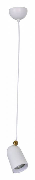 Подвесной светильник DeMarkt Астор 13 545013601