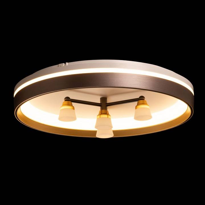 Потолочная люстра De City Семья 66 660014701