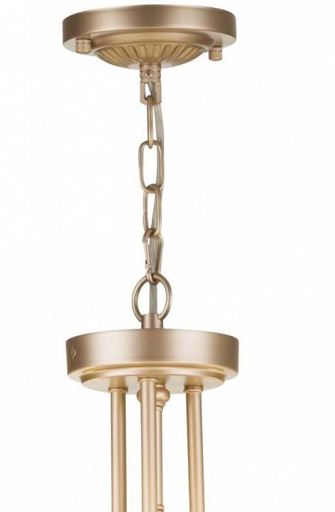 Подвесной светильник Maytoni Roma 6 ламп ARM006PL-06G