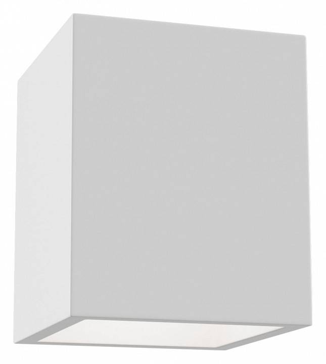 Потолочный светильник Maytoni Conik gyps C002CW-01W