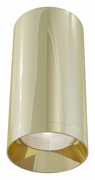 Потолочный светильник Maytoni Focus 1xGU10 C010CL-01G