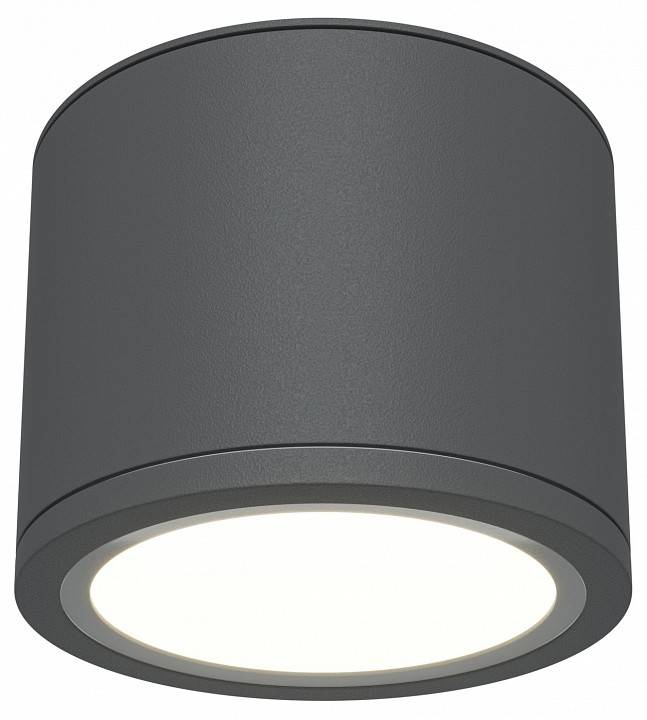 Накладной светильник Maytoni Rendo C095CL-GX53-GR