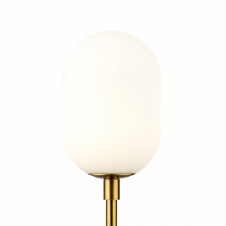 Настольная лампа декоративная Freya Sharlot FR1012TL-01BS