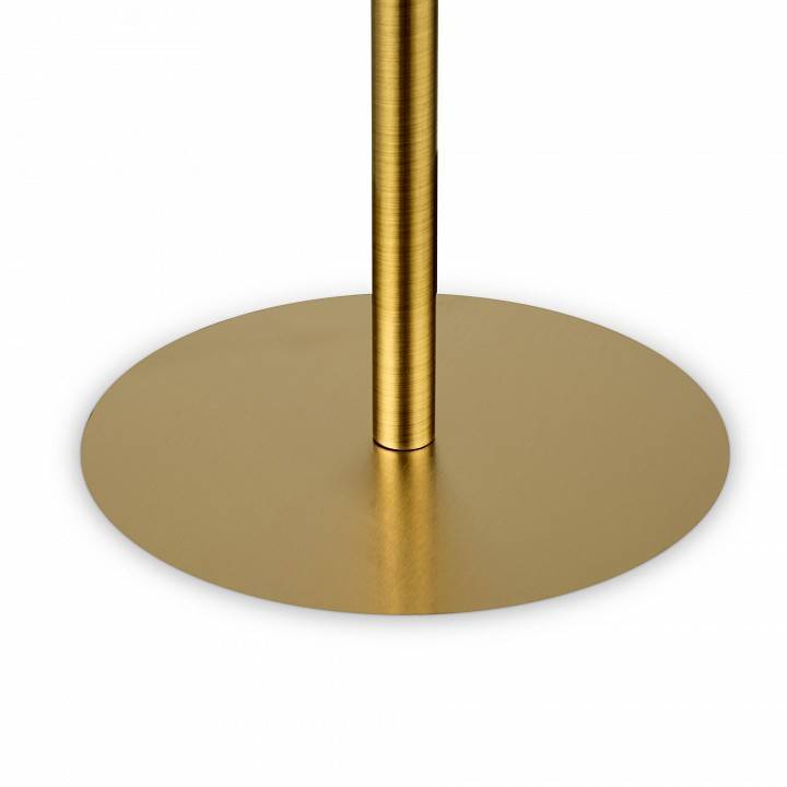 Настольная лампа декоративная Freya Sharlot FR1012TL-01BS