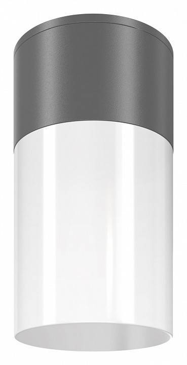 Потолочный светильник Maytoni Willis 1xE27 серый O418CL-01GR