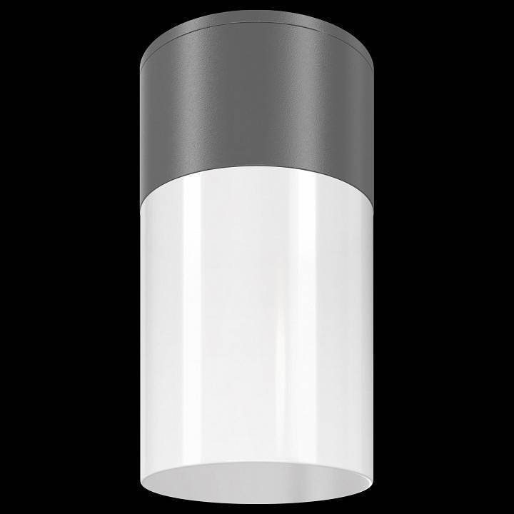 Потолочный светильник Maytoni Willis 1xE27 серый O418CL-01GR