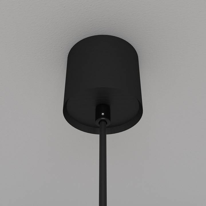 Подвесной светильник Maytoni Luna P039PL-5W3K-10-B