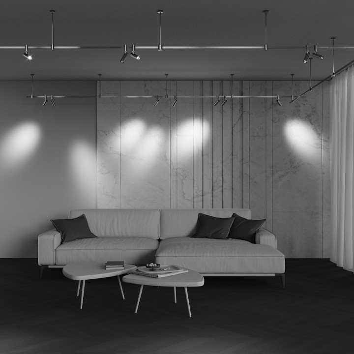 Трековый светильник Maytoni TR144-1-12W3K-W-PT