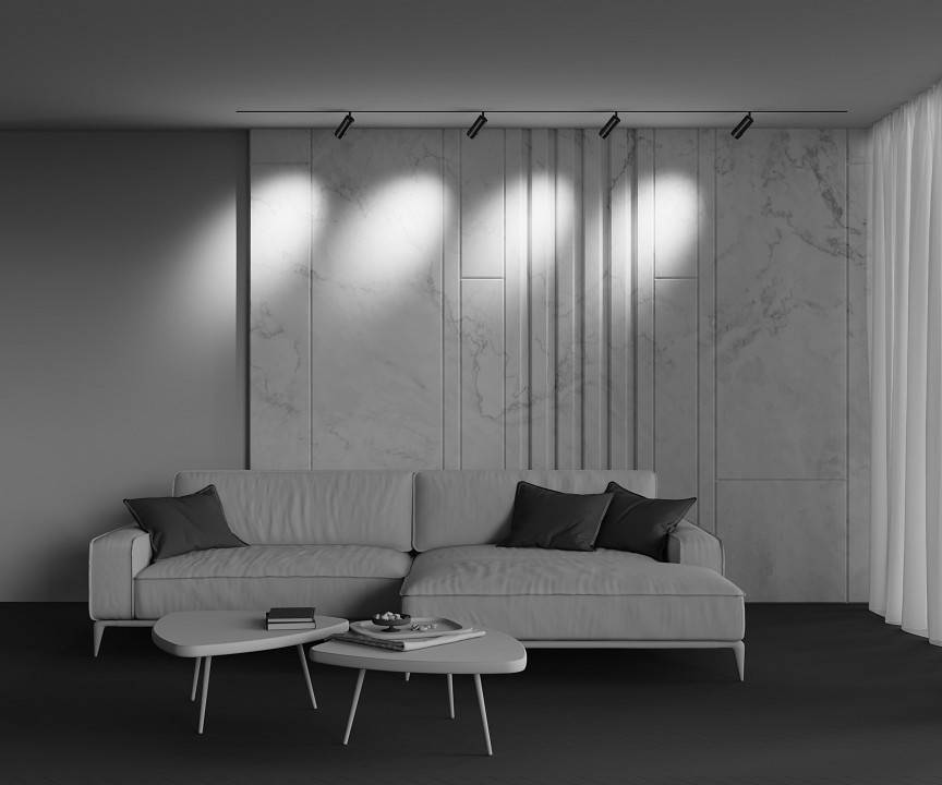 Трековый светильник Maytoni Focus Zoom 12 Вт Tunable White TR212-4-12WTW-DD2-Z-B