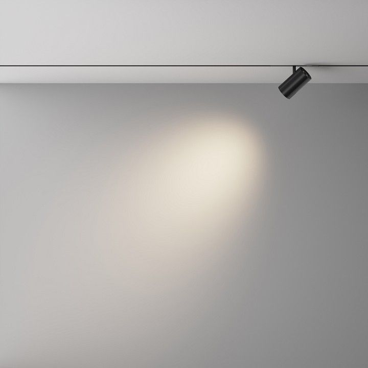 Светильник на штанге Maytoni Technical Focus Led TR243-12W4K-B