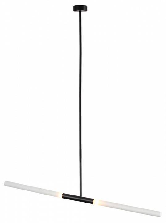 Светильник на штанге Odeon Light Soho 4307/2