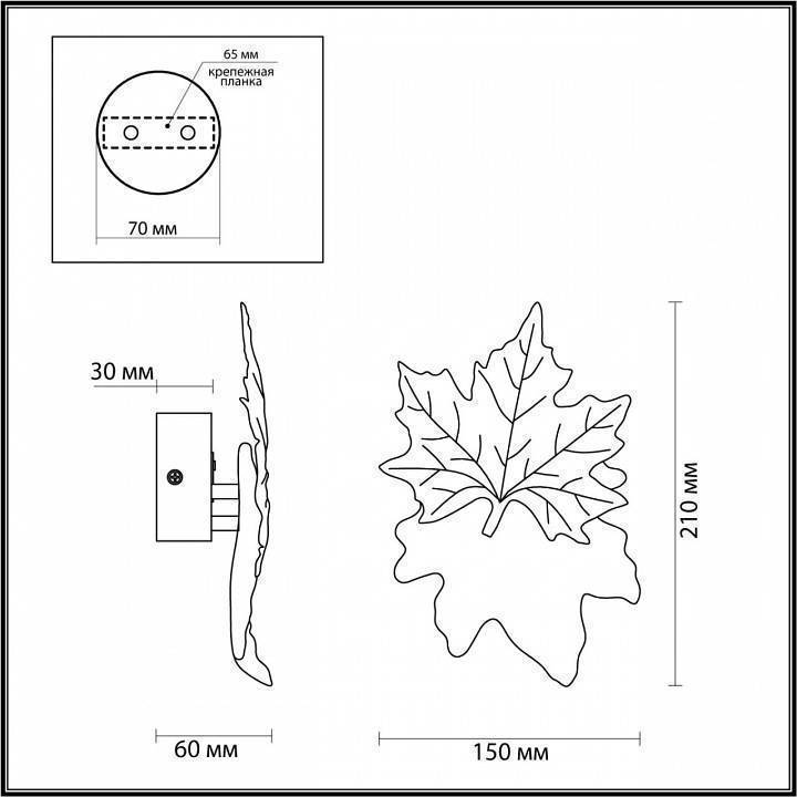 Накладной светильник Odeon Light Eva 4371/3WL