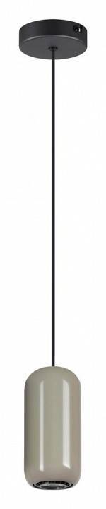 Подвесной светильник Odeon Light Ovali 5053/1D